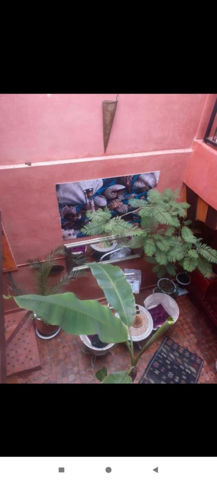 Hanafi Bed and breakfast