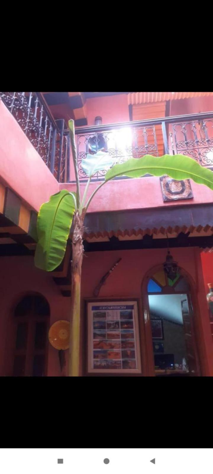 Hanafi Bed and breakfast
